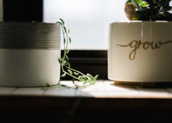 green leafed vine plant beside white pot near window